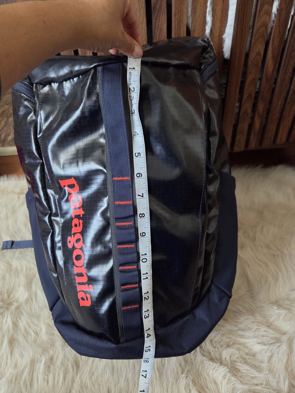 Patagonia Black Hole Red T Backpack
